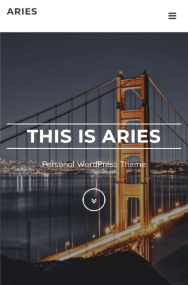 Aries - Personal WordPress Theme